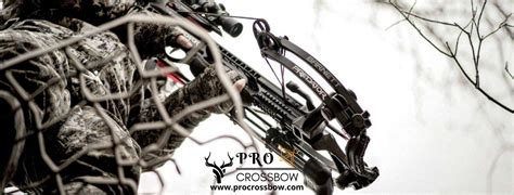 The 9 Best Crossbows For Deer Hunting-Reviews 2024