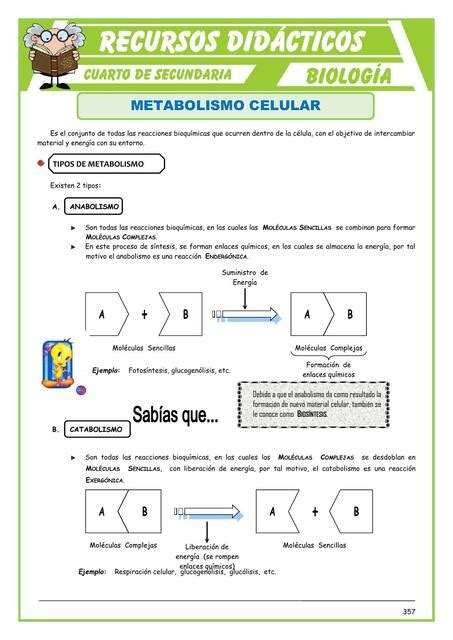 Metabolismo Celular Luis Ernesto Lopez Diaz Udocz