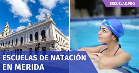 Las Mejores Escuelas de natación en Merida Escuelas pro