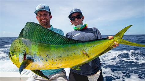 Deep Sea Fishing In Miami Dolphin Wahoo Amberjacks And Tripletail