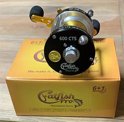 Top 15 Best Reels For Catfishing Incl Affordable Models