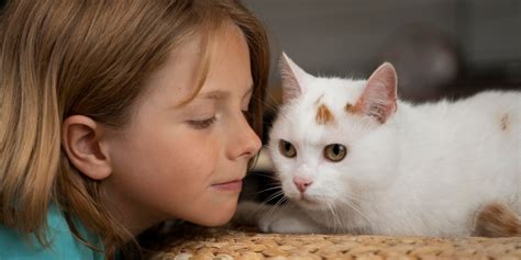 Enfant Et Chat Races Recommand Es Pour Une Cohabitation Id Ale