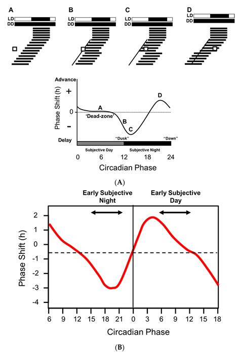 Circadian Lighting System Definition Shelly Lighting