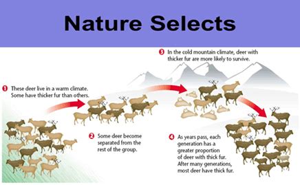 Environmental Science Principles Of Ecology Definition And Levels Of