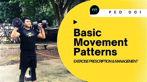 Basic Movement Patterns Exercises Ped 001 Youtube