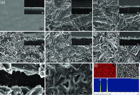 Surface And Cross Section Sem Of The Li Foils A The Pristine Li