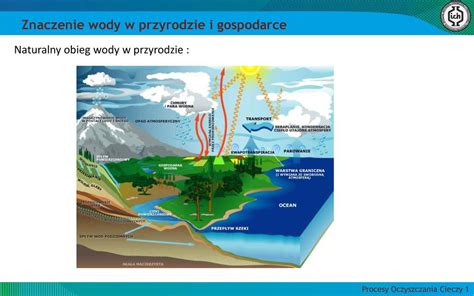 Znaczenie Wody W Przyrodzie I Gospodarce Ppt Pobierz