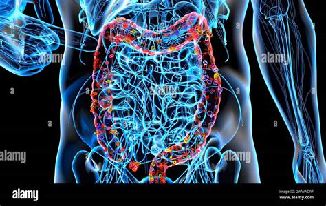 Intestinal Microbiota Conceptual Illustration Stock Photo Alamy