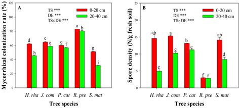 Root Colonization A And Spore Density B Of Arbuscular Mycorrhizal