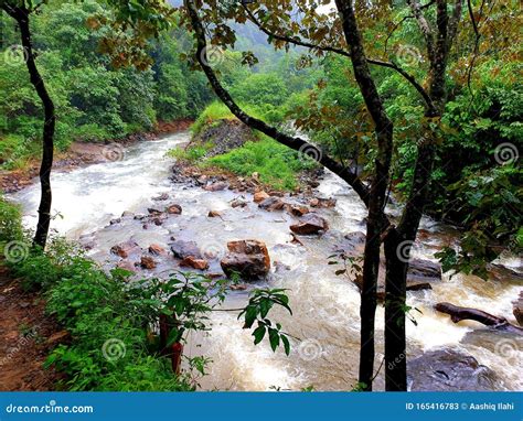 Vagamon, Kerala stock image. Image of kerala, vagamon - 165416783