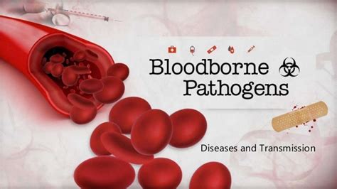 Bloodborne Pathogens - Diseases and Transmission