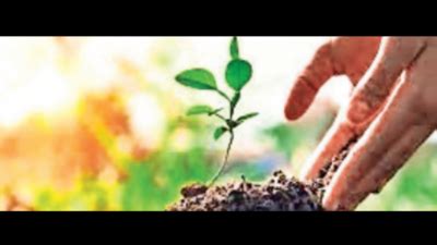 Tree Planting Govt Plants Over Crore Trees Across Telangana