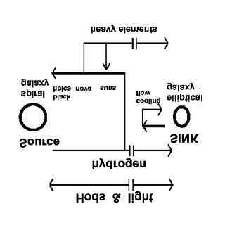 The structure of a "cell". Galaxy clusters and superclusters are made ...