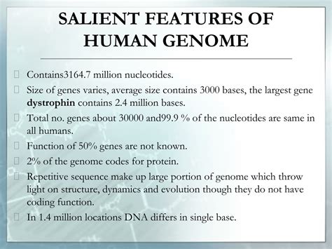 Ppt Molecular Basis Of Inheritance Powerpoint Presentation Free Download Id9579759