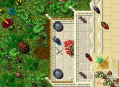 Within the Tides Quest Tibia Wiki A Enciclopédia do Tibia