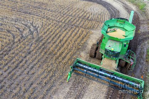 Soya Bean Farming By Jim Westscience Photo Library