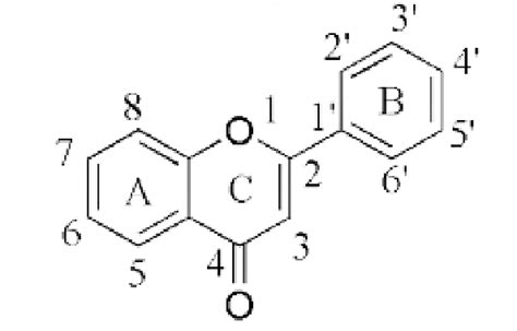 The basic structure of flavonoids. | Download Scientific Diagram