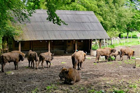 Englischer Garten Zu Eulbach Ausflugsziele Im Odenwald