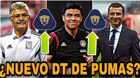 🔥¿quien Puede Ser El Nuevo Dt De Pumas LlegarÍa A Pumas Refuerzos Pumas 2022 Youtube