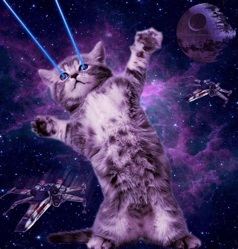 Cosmic Cat Space Cat Galaxy Cat Cat Laser