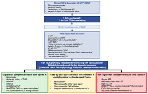 JCM Free Full Text Arrhythmic Mitral Valve Prolapse And Sports