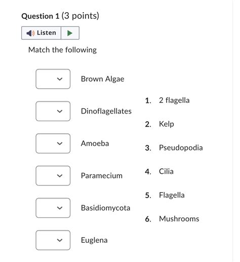 Solved Question 1 3 Points Listen Match The Following V