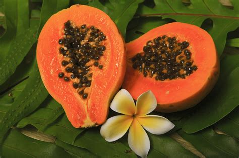 Papaya Seeds: Not Only Edible, But Zesty Too