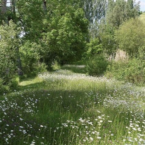 Image About Nature In Cottage Core Nature Aesthetic Mint Green Aesthetic Green Aesthetic