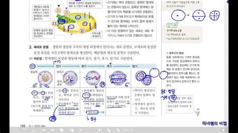 고등완자 생명과학 3단원 2 생식세포의 형성과 유전적 다양성 Youtube