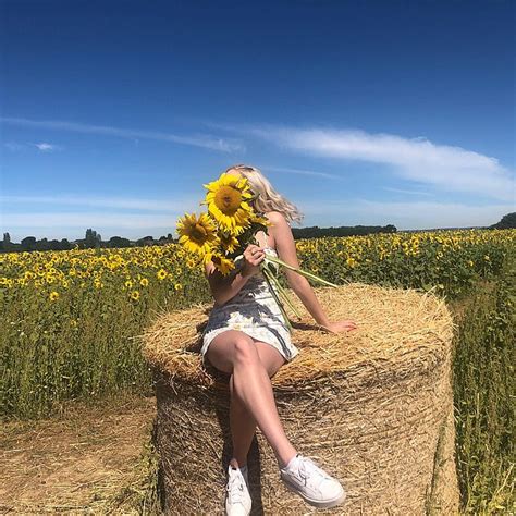 Please Keep Your Clothes On In The Sunflowers Farm Shop Asks People