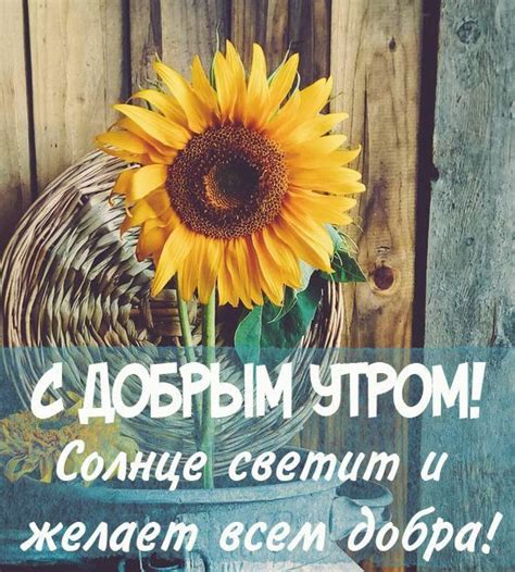 Прекрасного доброго утра ⋆ картинки для хорошего настроения