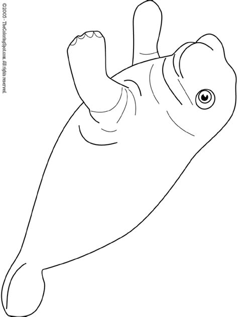 Manatee Coloring Page | Audio Stories for Kids | Free Coloring Pages
