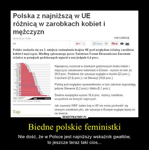 Biedne Polskie Feministki Demotywatory Pl