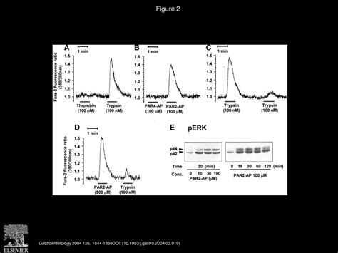 Volume 126, Issue 7, Pages (June 2004) - ppt download