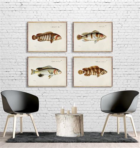 Vintage Fisch Er Set Poster Meeresleben Illustration Vintage Fisch