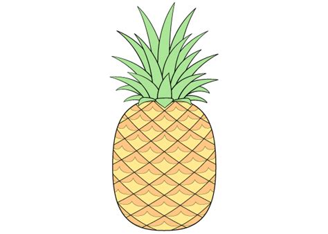 Pineapple Drawing Outline