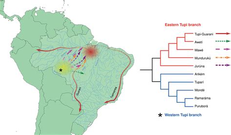 A Multidisciplinary Overview On The Tupispeaking People Expansion