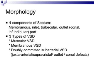 ASD and VSD Closure | PPT