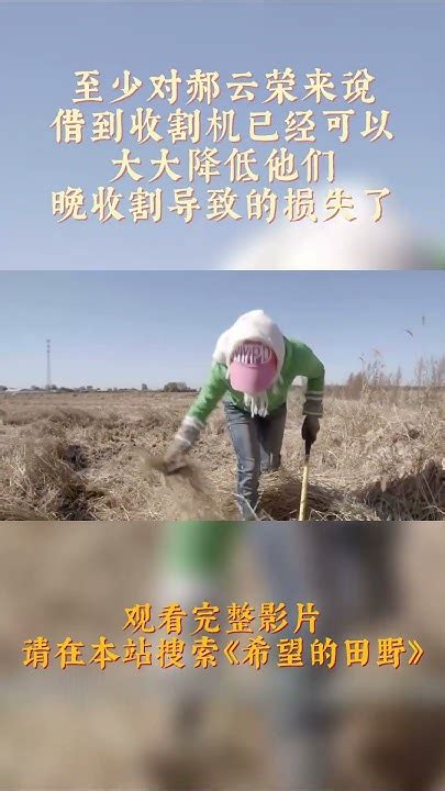 至少对郝云荣来说，借到收割机已经可以大大降低他们晚收割导致的损失了 希望的田野 秋收 纪录片 Shorts Youtube