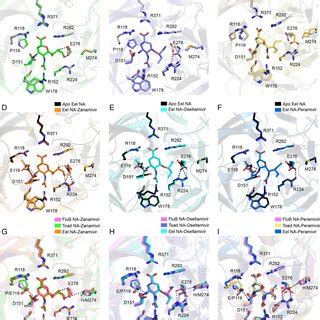 Structural Basis Of Sensitivity Of Ena And Antiviral Resistance