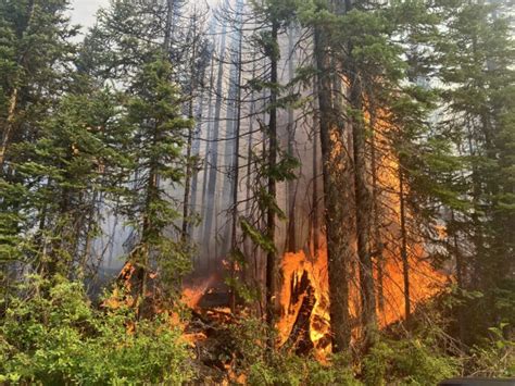 Fire Near Nanaimo Being Held But Also Under Investigation Coastal