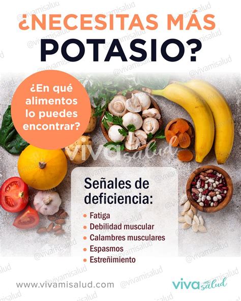 Alimentos Ricos En Potasio Alimentos Ricos En Potasio Alimentos Con