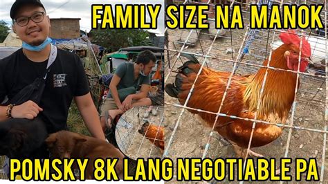 Bocaue Pet Market Murang Aso Manok At Iba Pang Hayop Mabibili Dito