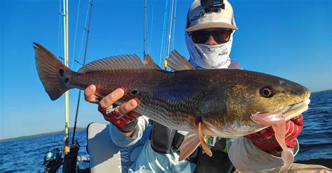 How To Catch The Biggest Fish From A School Of Fish