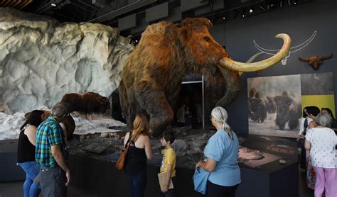 Thousands Turn Out For New Bell Museums Grand Opening Twin Cities