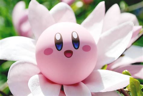 Kirby, Banner design, Png