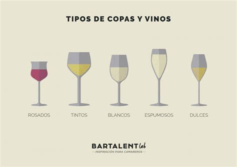 Todos Los Tipos De Copas Y Vinos Bartalent Lab