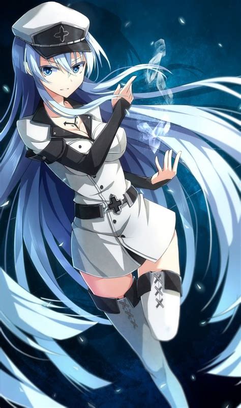 17 Best Images About Akame Ga Kill Aka Esdeath Is Hot Leave Her Be You Meanies On Pinterest