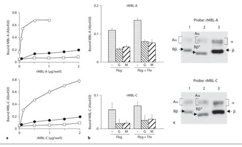 Binding Of Rmbl A And Rmbl C To Fbg Fbn A Dose Dependent Binding Of