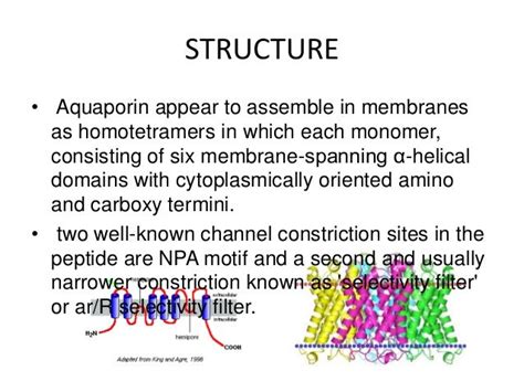 Aquaporins